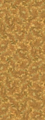 475-squirrel_opt_opt
